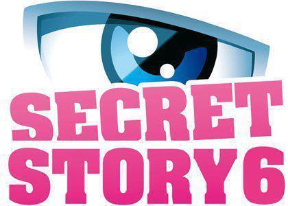 Secret Story 6 : La Télé Réalité la plus détestée des Français