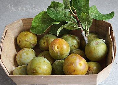 Crumble cake aux prunes du Cavoletto Reines-claudes-copie-1