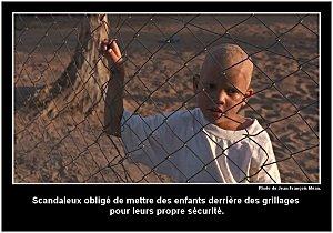 defense-des-albinos.jpg