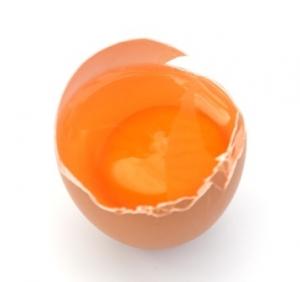 ALLERGIES à l’OEUF: Un peu de poudre aux œufs pour vaincre 1 allergie sur 2 – New England Journal of Medicine