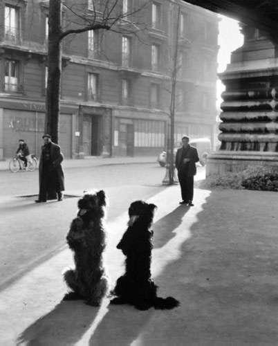 Doisneau_chiens_chapelle Doisneau_chiens_chapelle