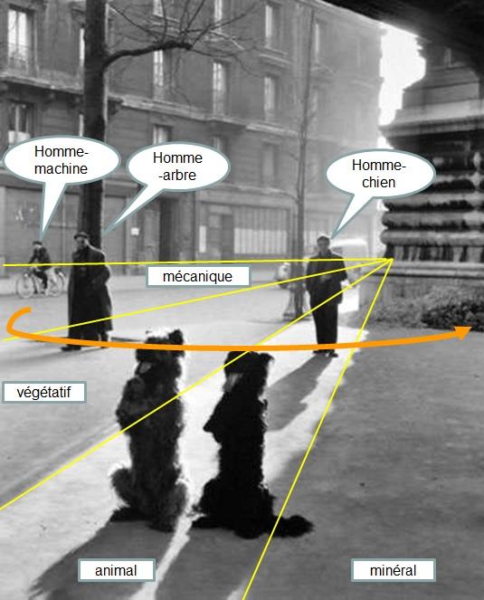 Doisneau_chiens_chapelle_secteurs Doisneau_chiens_chapelle_secteurs