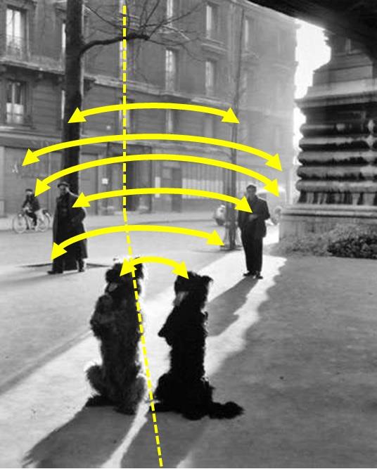 Doisneau_chiens_chapelle_couples Doisneau_chiens_chapelle_couples