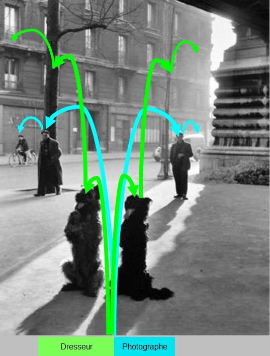 Doisneau_chiens_chapelle_Dresseur_Photographe Doisneau_chiens_chapelle_Dresseur_Photographe