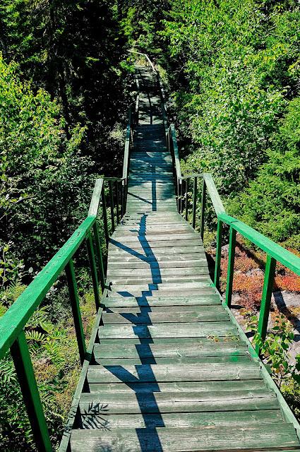 Godbouïte aiguë! Godbouïte aiguë!