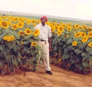 Echec de la réforme agraire en Afrique du Sud