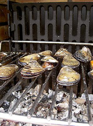 Moules éclatées au barbecue