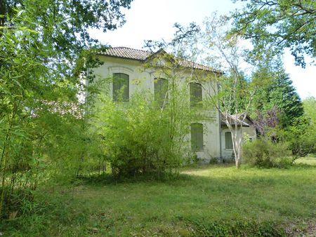 Solférino, un projet agronomique échoué sous les arbres P1070457