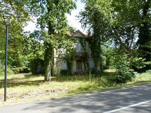 Solférino, un projet agronomique échoué sous les arbres P1070452