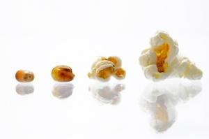 RISQUE RESPIRATOIRE et CÉRÉBRAL avec les effluves de popcorn – American Journal of Pathology RISQUE RESPIRATOIRE et CÉRÉBRAL avec les effluves de popcorn – American Journal of Pathology