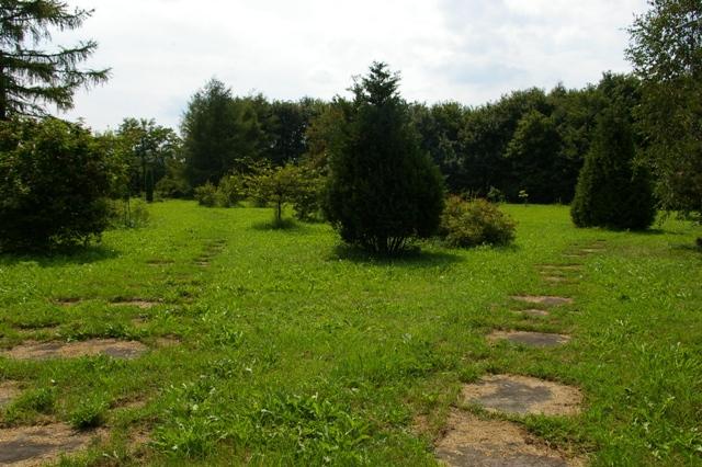 Parc floral de Lodz, paysages de Pologne IMGP6408 Parc Floral de Lodz
