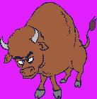 La Pesse - 39 bisons006.gif