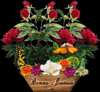 La Pesse - 39 802425bonnejournedentelledelune430.gif