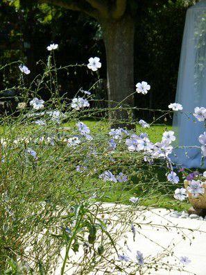 DEHORS ...
Occupations du moment ...
&... DSCF9354b