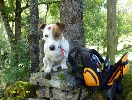 Montagne la clusaz,aravis,haute-savoie,montagne,nature,vacances