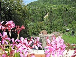 Entre le Jura et L'Ain St-Germain-de-Joux 0223 1