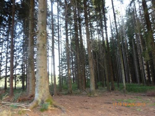 Hier soir dans le Pilat(photos perso entre Saint-Etienne et Rochetaillée) DIDIER x TRAIN 19 août 2012 011.jpg