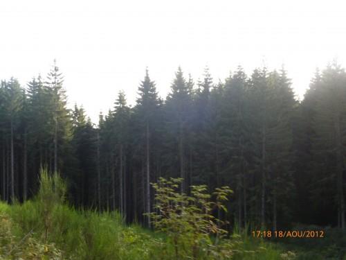 Hier soir dans le Pilat(photos perso entre Saint-Etienne et Rochetaillée) DIDIER x TRAIN 19 août 2012 010.jpg