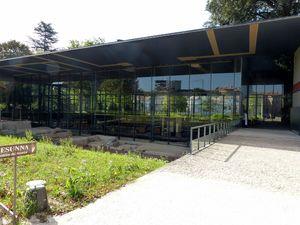 A Périgieux : voir l'Antiquité avec Jean-Claude Golvin Perigueux 001