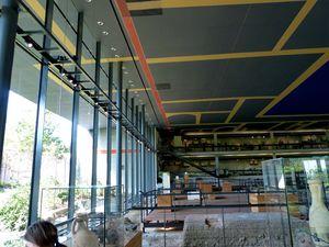 A Périgieux : voir l'Antiquité avec Jean-Claude Golvin Perigueux 019