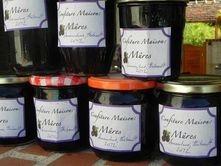 mûres de Sologne DSCN8138