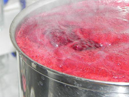 mûres de Sologne DSCN8134