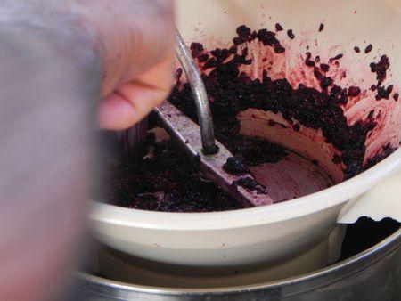 mûres de Sologne DSCN8129