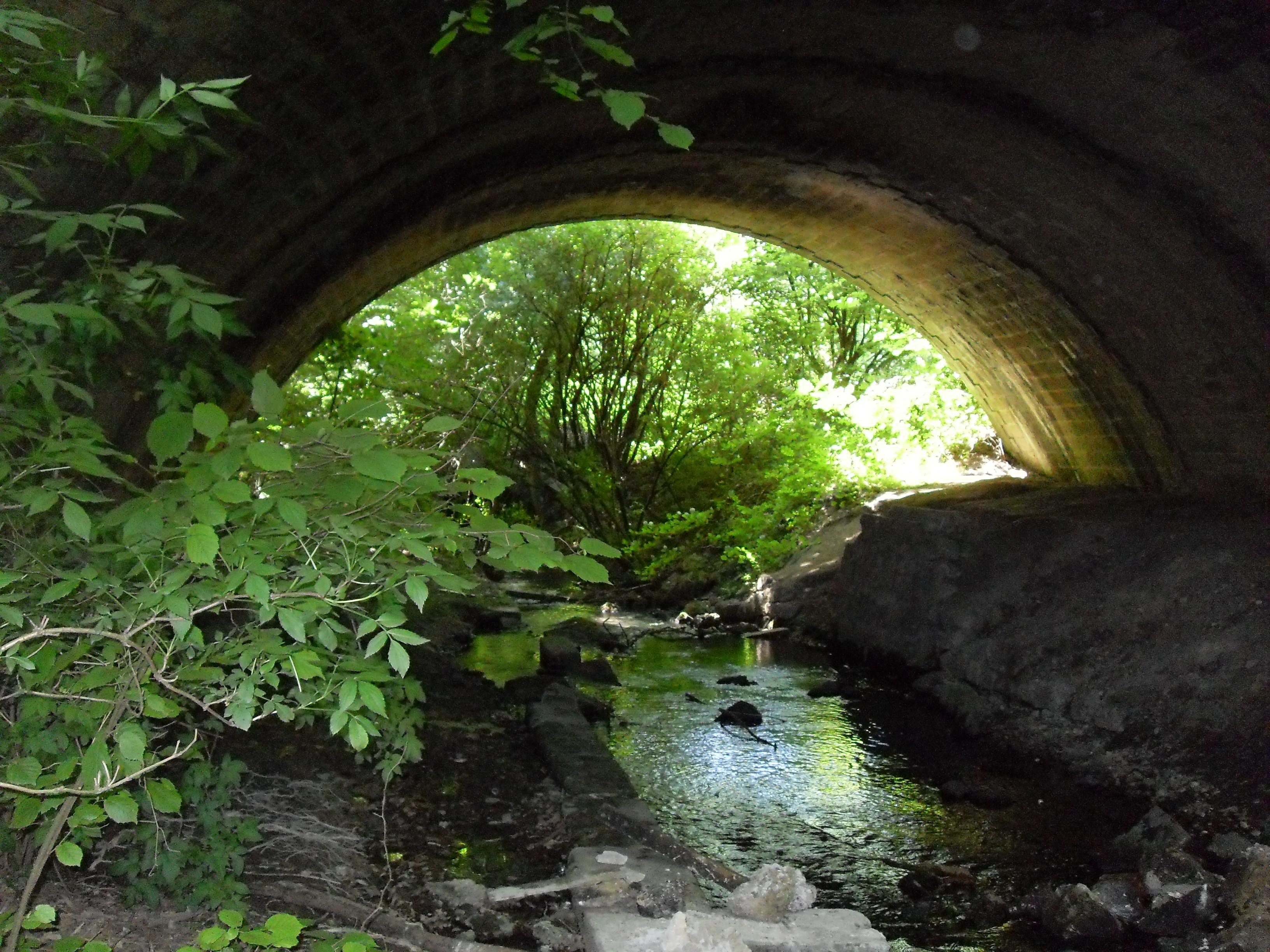 Opportunité Opportunité