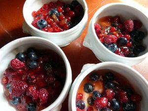 Trio de fruits rouges sur lit blanc babous le retour ! 001