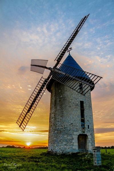 Pascal Rivière Pascal Rivière