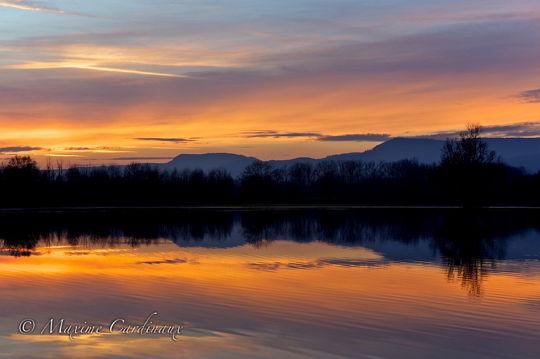 Maxime Cardinaux Maxime Cardinaux