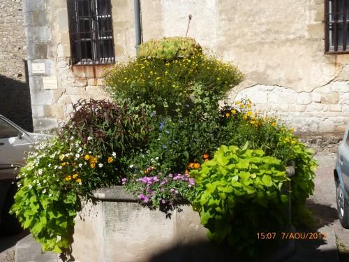 Lautrec(Tarn,81, Midi-Pyrénées) en pays de Cocagne(Photos perso du 7 août 2012) voyage 7 août 2012 084.jpg