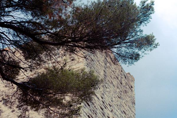 IMG_80711 IMG 80711 Sur la route de Sommières