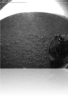 Une des premières images de Mars envoyées par Curiosity quelques minutes après son atterrissage. Crédit NASA