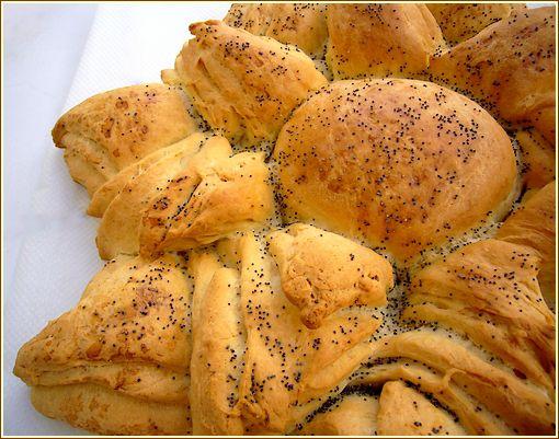 Pain tournesol PAİN Tournesol gros plan