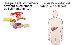 cholesterol1 Mauvaises graisses et cholestérol !!!
