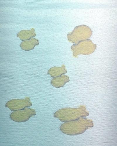 Histoires de poissons panés POISSON Panés a la mer