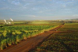 agriculture Un kolkhoze pour Terres de Gauche