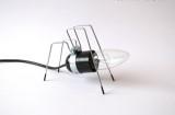 Bug Light : lampes et animaux de compagnie Bug Light : lampes et animaux de compagnie