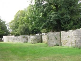 Cueillez dès aujourd’hui les roses de la vie 120823 Cueillez (3).jpg