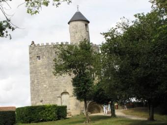 Cueillez dès aujourd’hui les roses de la vie 120823 Cueillez (5).jpg