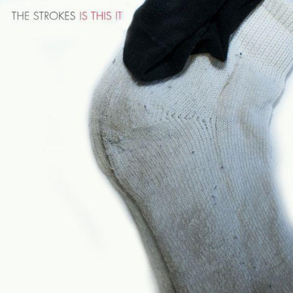 WTF du Jour : The sock Covers - Tumblr