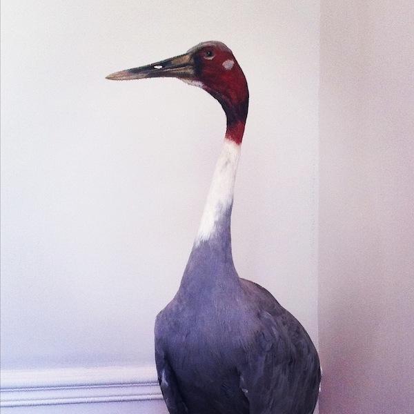 IMG_5746 With my color artist