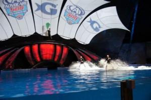 2012jeffgordongeorgiaaquariumdolphin2 300x199 Jeff Gordon a organisé une course de... dauphins à Atlanta