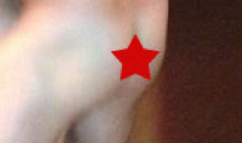 Boule(s) royal(es) Prince-Harry.jpg