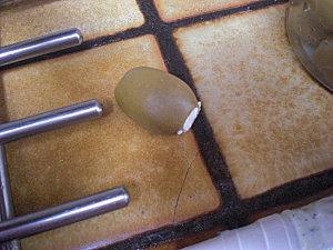 OLIVES FARCIES PANES CIMG7633.JPG