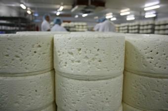 EN ATTENTE DU SALAGE ©P. Faus EN ATTENTE DU SALAGE ©P. Faus 340x226