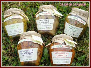 LES GLACES DE LA FERME ET LEGUM'ANDISE 027