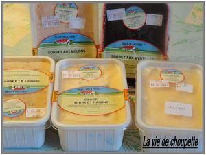 LES GLACES DE LA FERME ET LEGUM'ANDISE 012