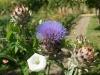 DSC00180 DSC00180